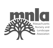 MNLA